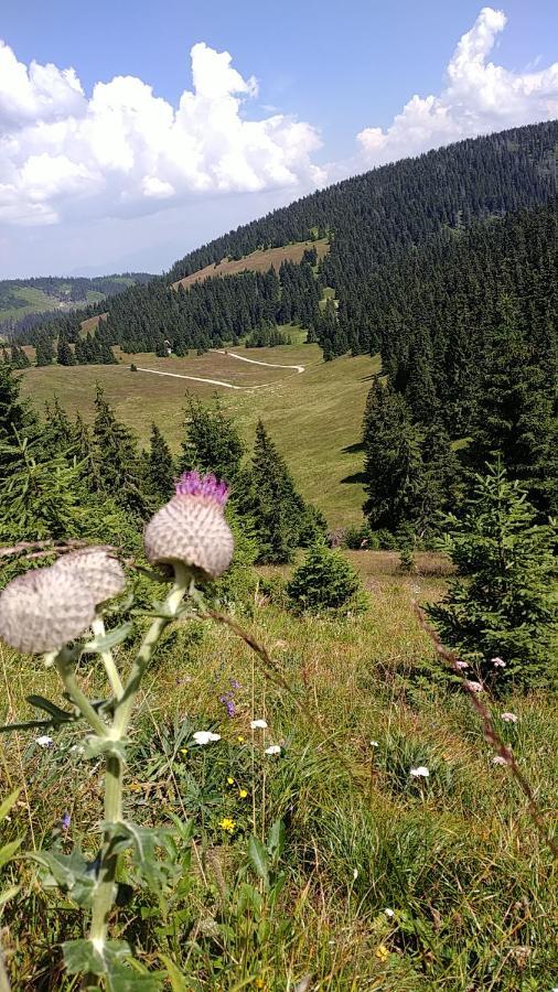 Privat Lena Hotel Rózsahegy Kültér fotó